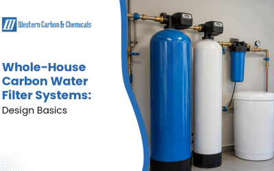 Home 38 Whole-House Carbon Water Filter Systems: Design Basics | Western Carbon